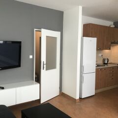 Отель Queens 7 Apartments Чехия, Прага - отзывы, цены и фото номеров - забронировать отель Queens 7 Apartments онлайн комната для гостей фото 4