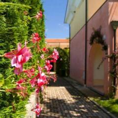Отель Relais le Magnolie Казаль-Велино фото 2