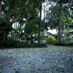 Отель Lamai Wanta Beach Resort фото 5