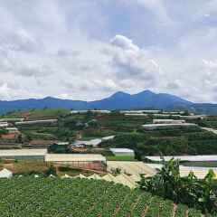 Отель Dalat Home Далат