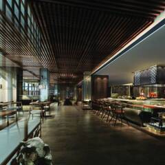 DoubleTree by Hilton Hotel Shenzhen Longhua развлечения