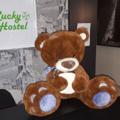 Отель Жилое помещение Lucky Екатеринбург с домашними животными
