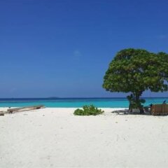 Kethi Lodge Maldives in Baa Atoll, Maldives from 408$, photos, reviews - zenhotels.com beach photo 2