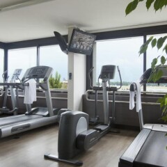 Отель Crowne Plaza Geneva Швейцария, Женева - отзывы, цены и фото номеров - забронировать отель Crowne Plaza Geneva онлайн фитнесс-зал фото 4