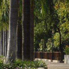 Отель Westin Grande Sukhumvit Бангкок фото 8