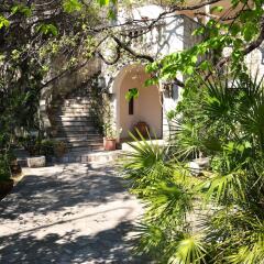 Hotel Dubrava фото 4