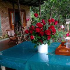 Отель Roses Cottage бассейн