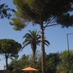 Отель Villa Arditi Пресичче фото 4