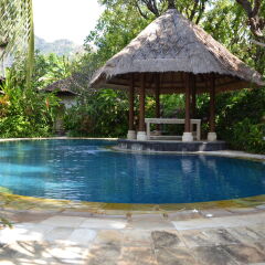Отель Matahari Beach Resort & Spa с домашними животными