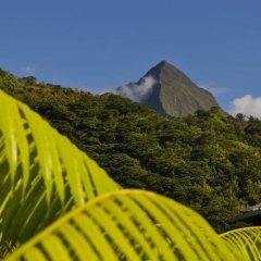 Relais de la Maroto in Papeete, French Polynesia from 401$, photos, reviews - zenhotels.com photo 9