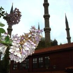Tasodalar Hotel Турция, Эдирне - отзывы, цены и фото номеров - забронировать отель Tasodalar Hotel онлайн фото 22