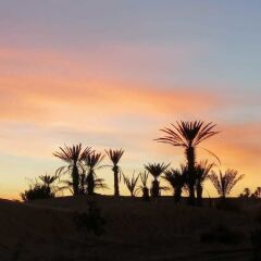 Отель Sahara Camp & Camel Trek Марокко, Мерзуга - отзывы, цены и фото номеров - забронировать отель Sahara Camp & Camel Trek онлайн балкон