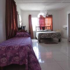 Tina's Guest House in Boscobel, Jamaica from 183$, photos, reviews - zenhotels.com guestroom