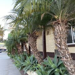 Апартаменты El Patio Inn Studio City Лос-Анджелес фото 5