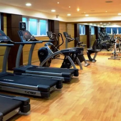 Отель Park Regis Kris Kin Hotel ОАЭ, Дубай - 10 отзывов об отеле, цены и фото номеров - забронировать отель Park Regis Kris Kin Hotel онлайн фитнесс-зал фото 2