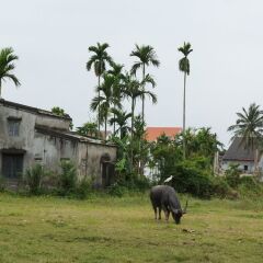Отель Lama Homestay Hoi An фото 8