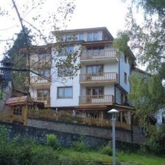 Отель Agarta Family Hotel Болгария, Чепеларе - отзывы, цены и фото номеров - забронировать отель Agarta Family Hotel онлайн фото 2