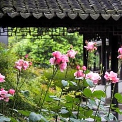 Tongli Lakeview Hotel фото 10