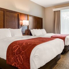 Отель Comfort Suites Columbus Airport США, Колумбус - отзывы, цены и фото номеров - забронировать отель Comfort Suites Columbus Airport онлайн комната для гостей фото 5