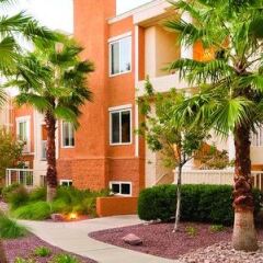 Отель WorldMark Las Vegas Tropicana США, Лас-Вегас - отзывы, цены и фото номеров - забронировать отель WorldMark Las Vegas Tropicana онлайн фото 8