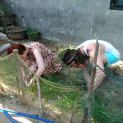 Отель The Grass Vy Homestay Хойан бассейн