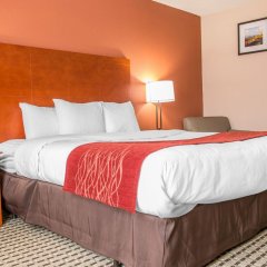 Отель Quality Inn & Suites США, Маскегон - отзывы, цены и фото номеров - забронировать отель Quality Inn & Suites онлайн комната для гостей