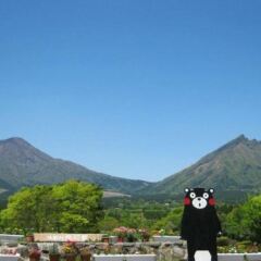 Отель Kyukamura Minami-Aso National Park Resort Villages Of Japan Минамиогуни приотельная территория
