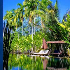 Отель Tea Tree Boutique Resort фото 2