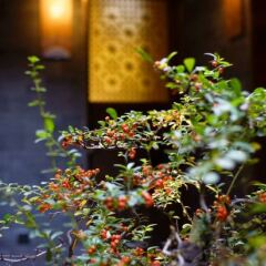 Zhuangse Chengdu Youth Hostel