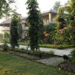 Отель Rhino Lodge & Hotel Непал, Саураха - отзывы, цены и фото номеров - забронировать отель Rhino Lodge & Hotel онлайн фото 10