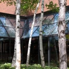 Отель Crowne Plaza Mpls Intl Arpt-Mall Of America Блумингтон фото 6