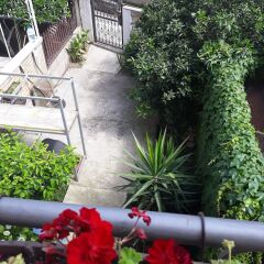 Отель Radovic apartments Черногория, Будва - отзывы, цены и фото номеров - забронировать отель Radovic apartments онлайн фото 4