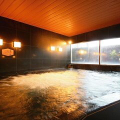 APA Hotel Tokyo Shiomi Ekimae бассейн фото 2