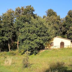 Отель Agriturismo Fattoria La Prugnola Монтескудаио фото 2