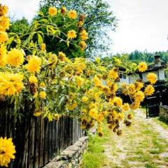 Отель Strannopriemnicata Guest House Боженци фото 8