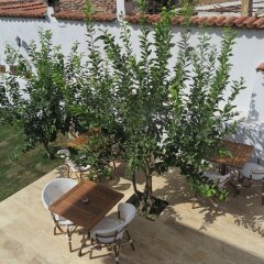 Ephesus Paradise Турция, Сельчук - отзывы, цены и фото номеров - забронировать отель Ephesus Paradise онлайн фото 12