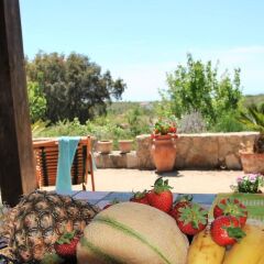 Отель Cycas Итри питание