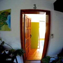 Отель Funky Monkey Hostel Болгария, Пловдив - отзывы, цены и фото номеров - забронировать отель Funky Monkey Hostel онлайн интерьер отеля