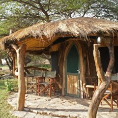 Lake Natron Tented Camp in Arusha, Tanzania from 293$, photos, reviews - zenhotels.com photo 2