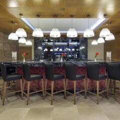 Hilton Garden Inn Diyarbakir Турция, Диярбакыр - отзывы, цены и фото номеров - забронировать отель Hilton Garden Inn Diyarbakir онлайн гостиничный бар