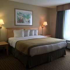 Отель Baymont Inn and Suites Fort Myers комната для гостей фото 4
