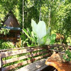 Отель Aonang Cliff View Resort с домашними животными
