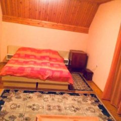 Kety Guesthouse in Zabljak, Montenegro from 88$, photos, reviews - zenhotels.com guestroom