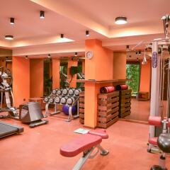 Отель Regnum Bansko Hotel & Spa Болгария, Банско - отзывы, цены и фото номеров - забронировать отель Regnum Bansko Hotel & Spa онлайн фото 6