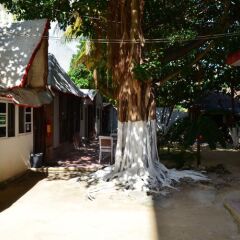 Отель B & B Popol Vuh Плая-дель-Кармен