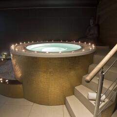 Golden Fish Hotel Apartments Пльзень бассейн