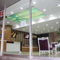 Avcilar Dedem Hotel интерьер отеля фото 2
