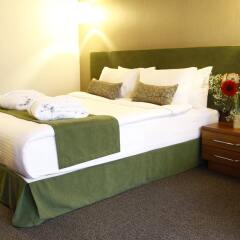 Abant Aden Boutique Hotel & Spa Турция, Болу - отзывы, цены и фото номеров - забронировать отель Abant Aden Boutique Hotel & Spa онлайн комната для гостей фото 5