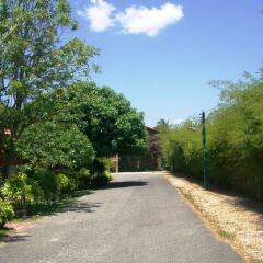 Отель Pictory Garden Resort