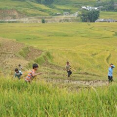 Sapa Glory Hotel фото 2